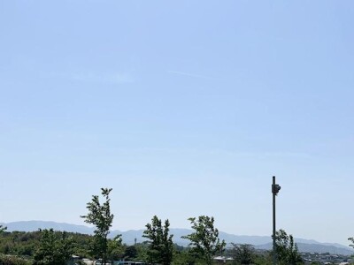 IMG_9046.jpeg
